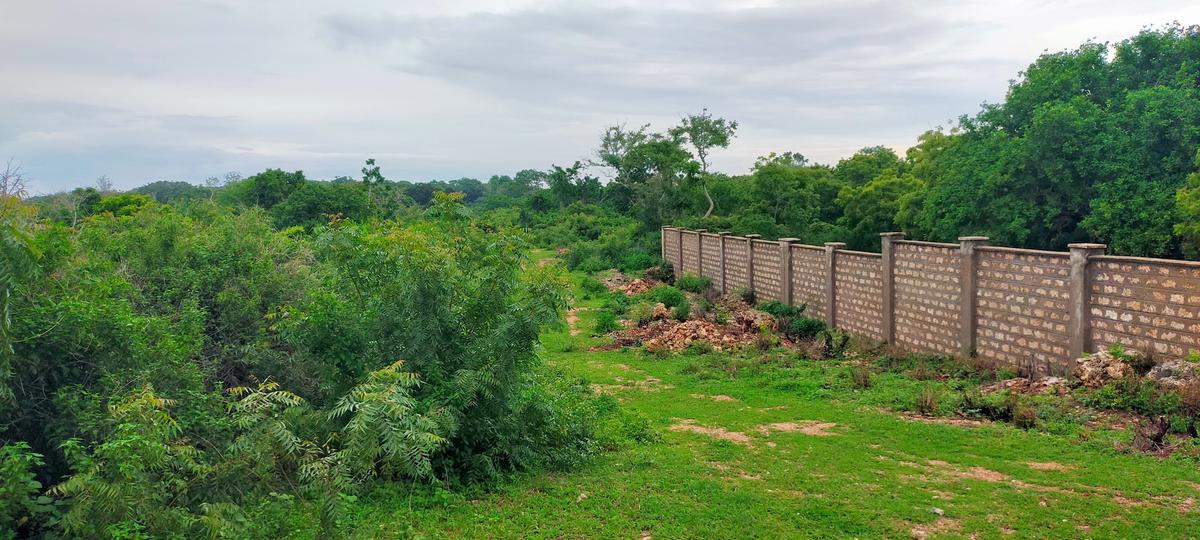 Land in Vipingo - 8