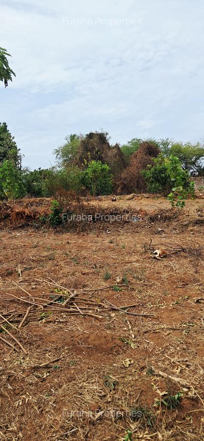 8 Bed House with En Suite at Kikambala - 10