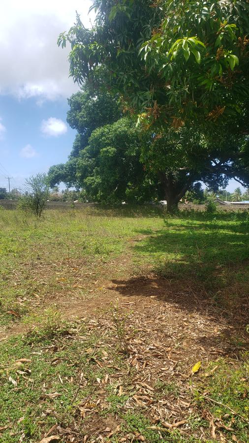 5 ac Land at Mavueni - 9