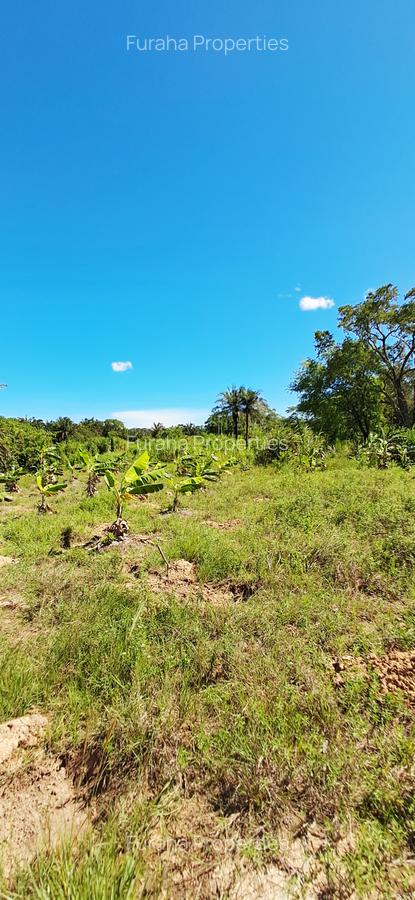 Land at Msambweni - 14