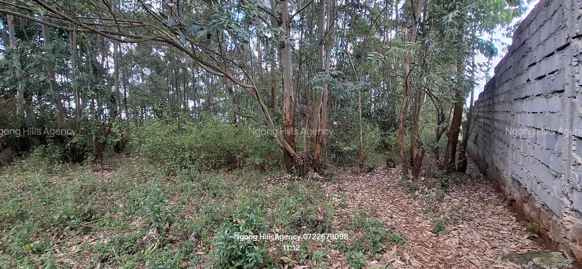 Residential Land at Kerarapon Drive - 5