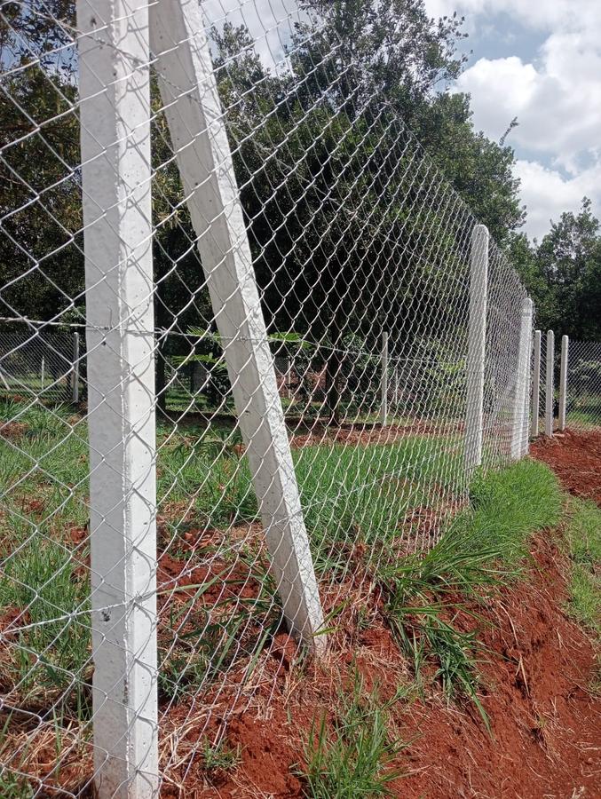 0.125 ac Land at Thika Grove Chania-Opposite Blue Post Hotel - 8