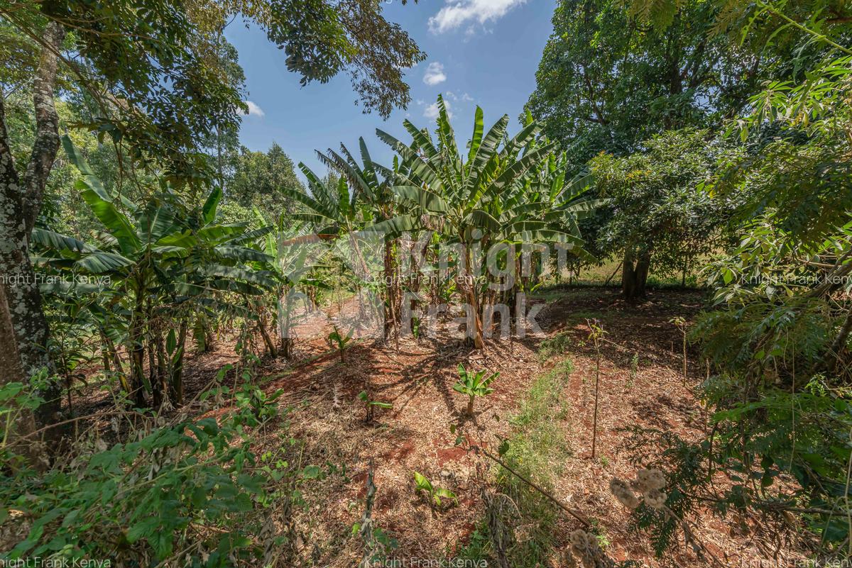 4.8 ac Land in Limuru - 2