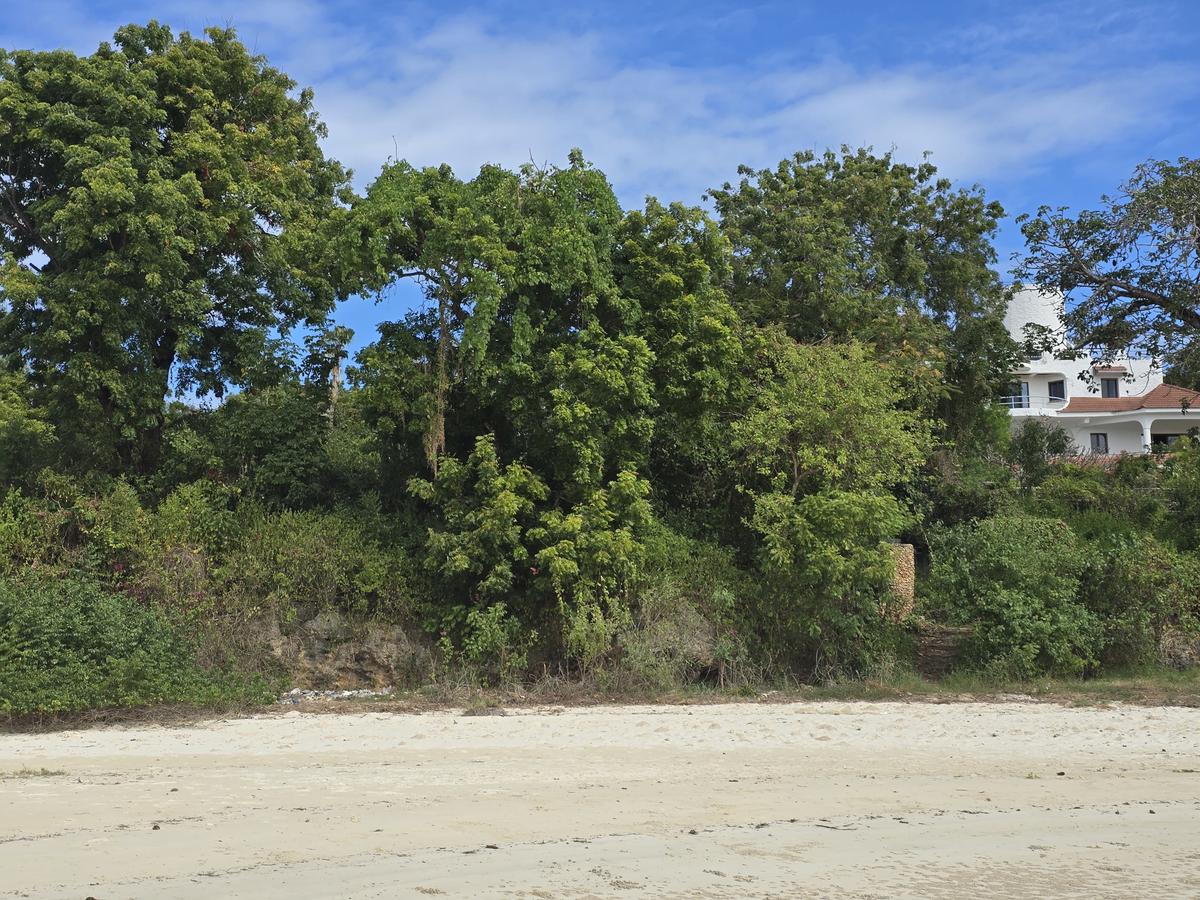 Commercial Land at Mt Kenya - 6