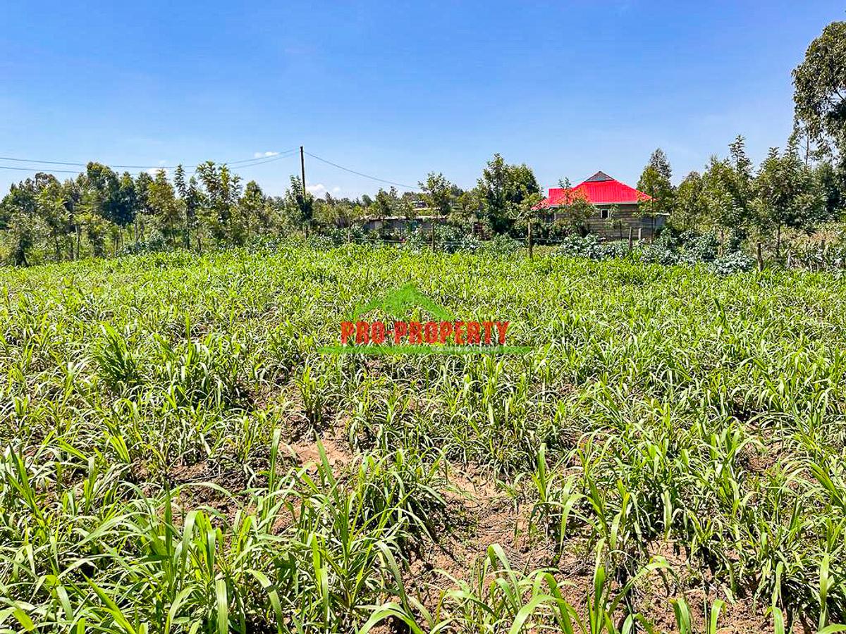 0.125 ac Residential Land at Kamangu - 19