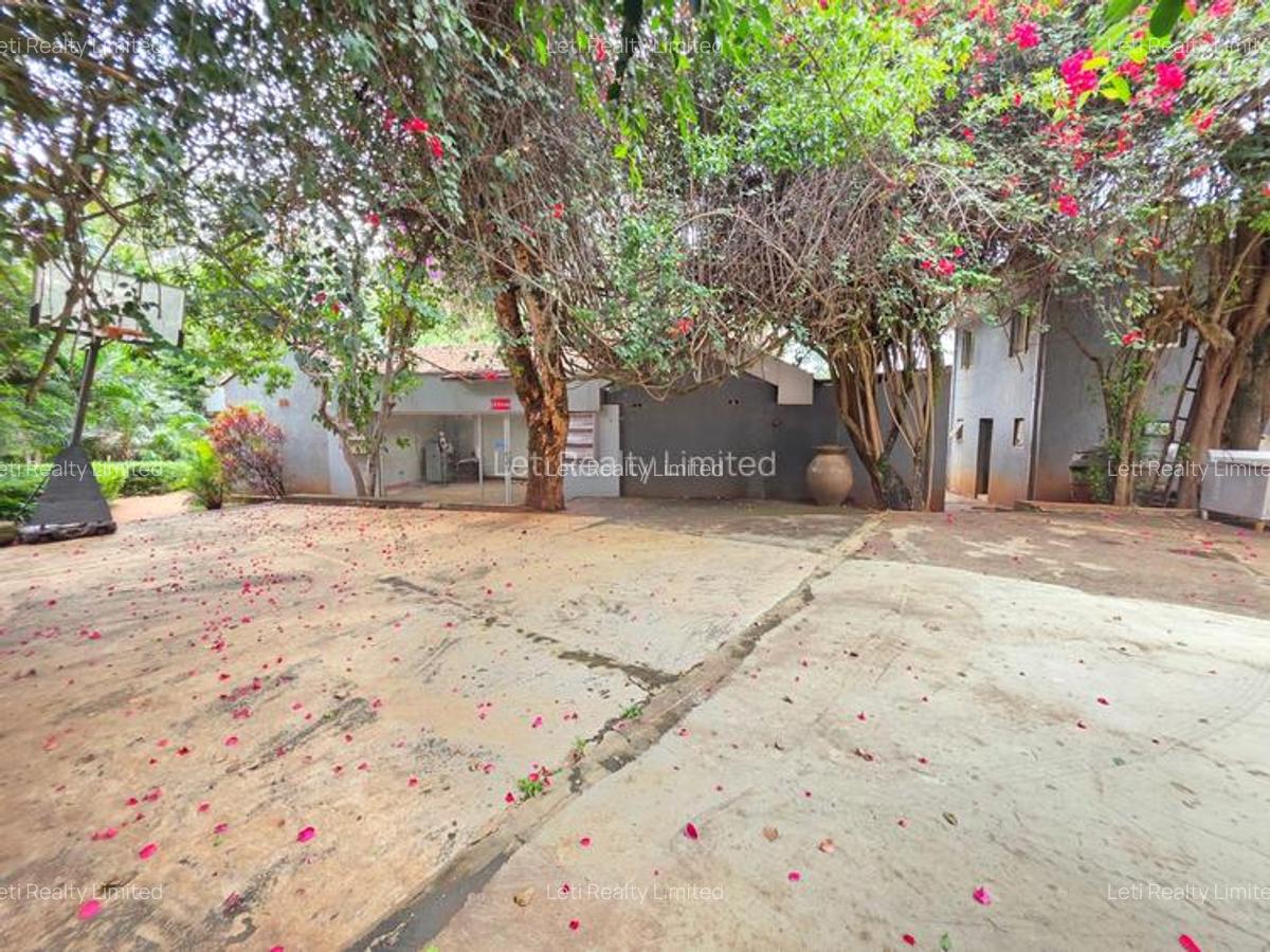 Commercial Property with Fibre Internet in Lavington - 1