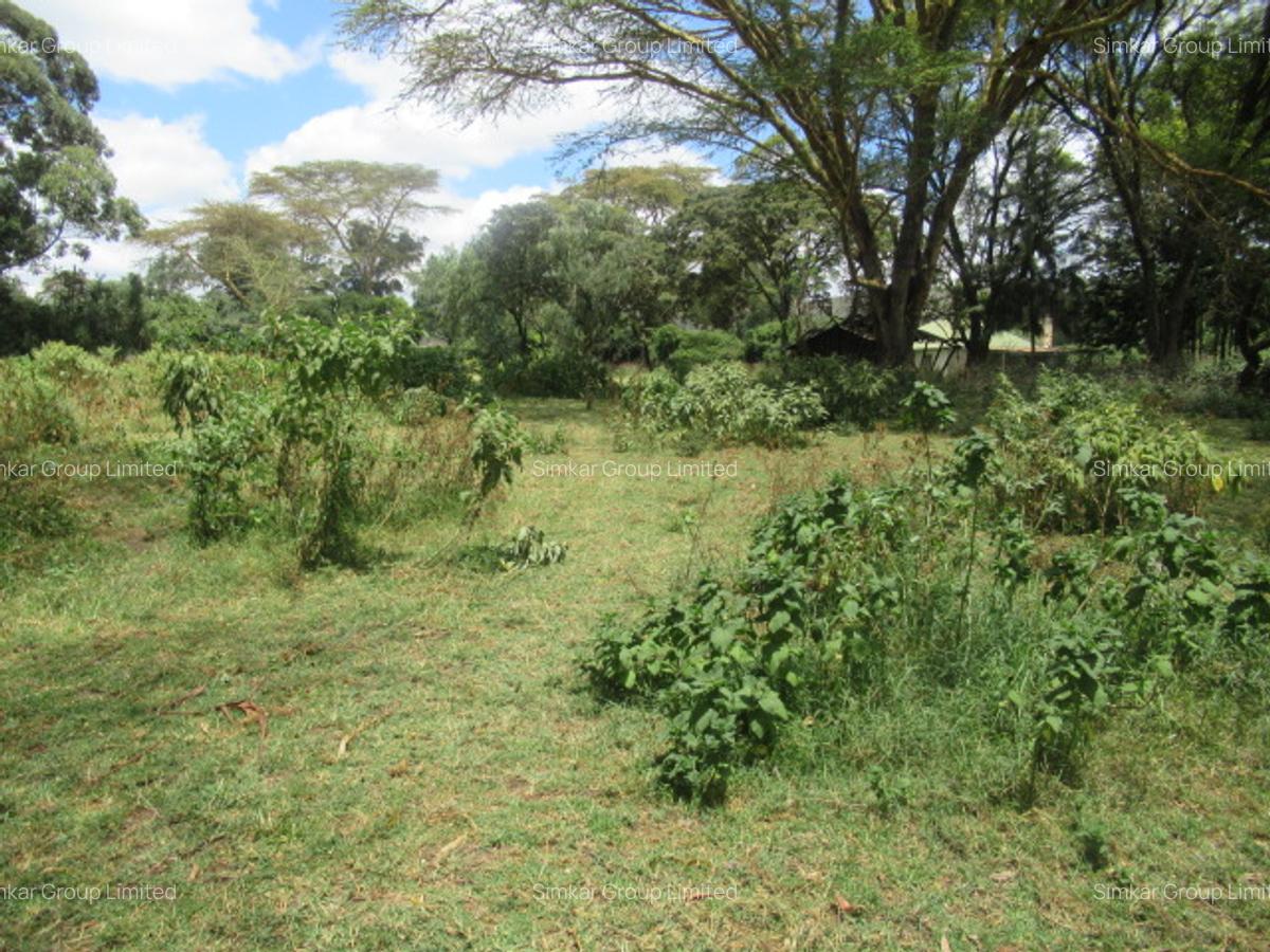 25 ac Land at Moi S Lake Rd - 4