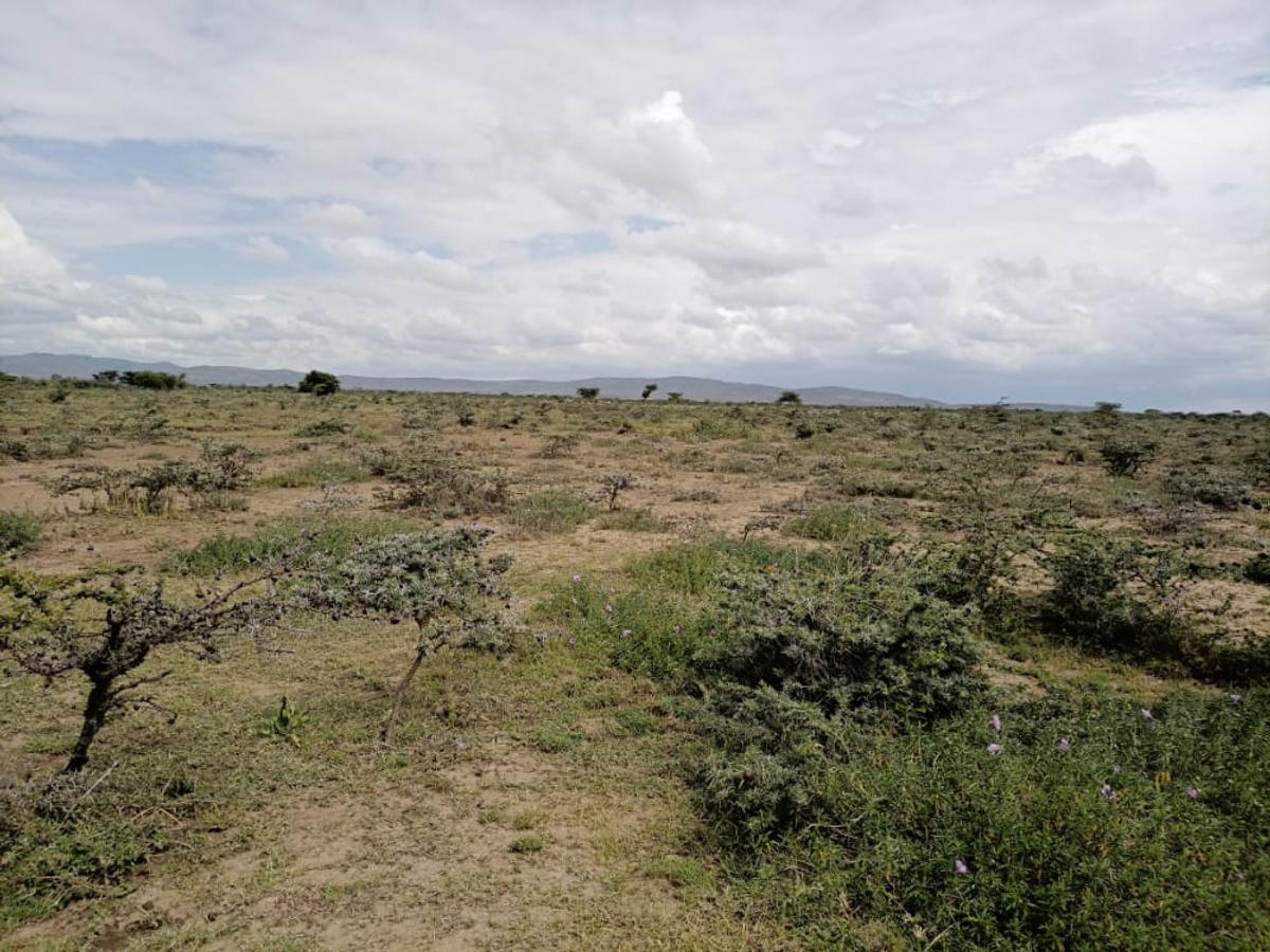 48 ac Land at Loita Plains Hotel - 3