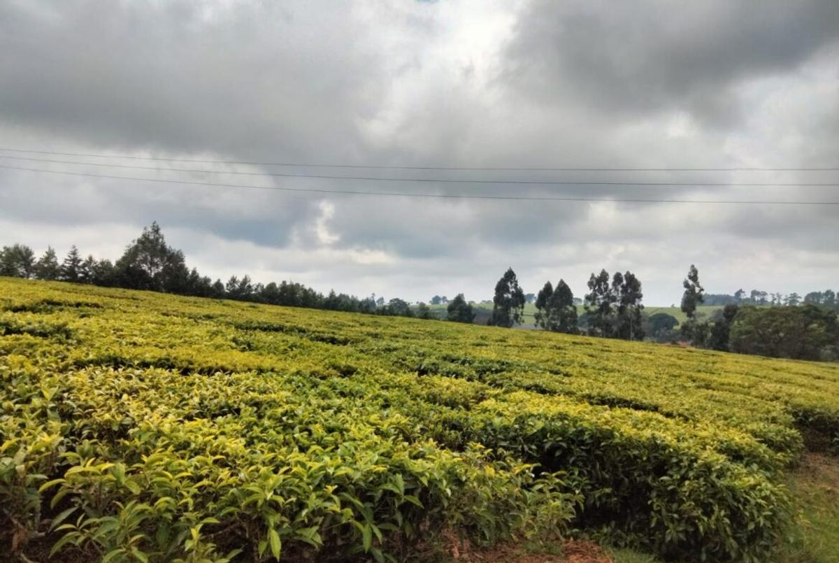 Land at Kiambu - 8