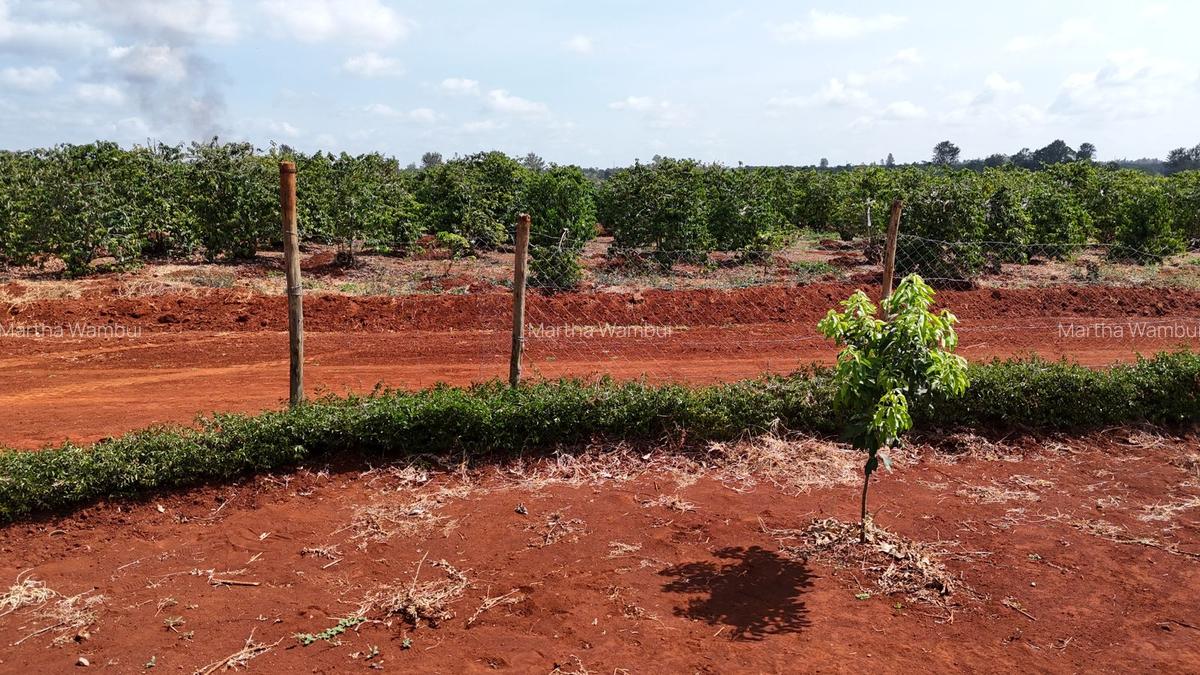 10,000 ft² Residential Land in Kenyatta Road - 3