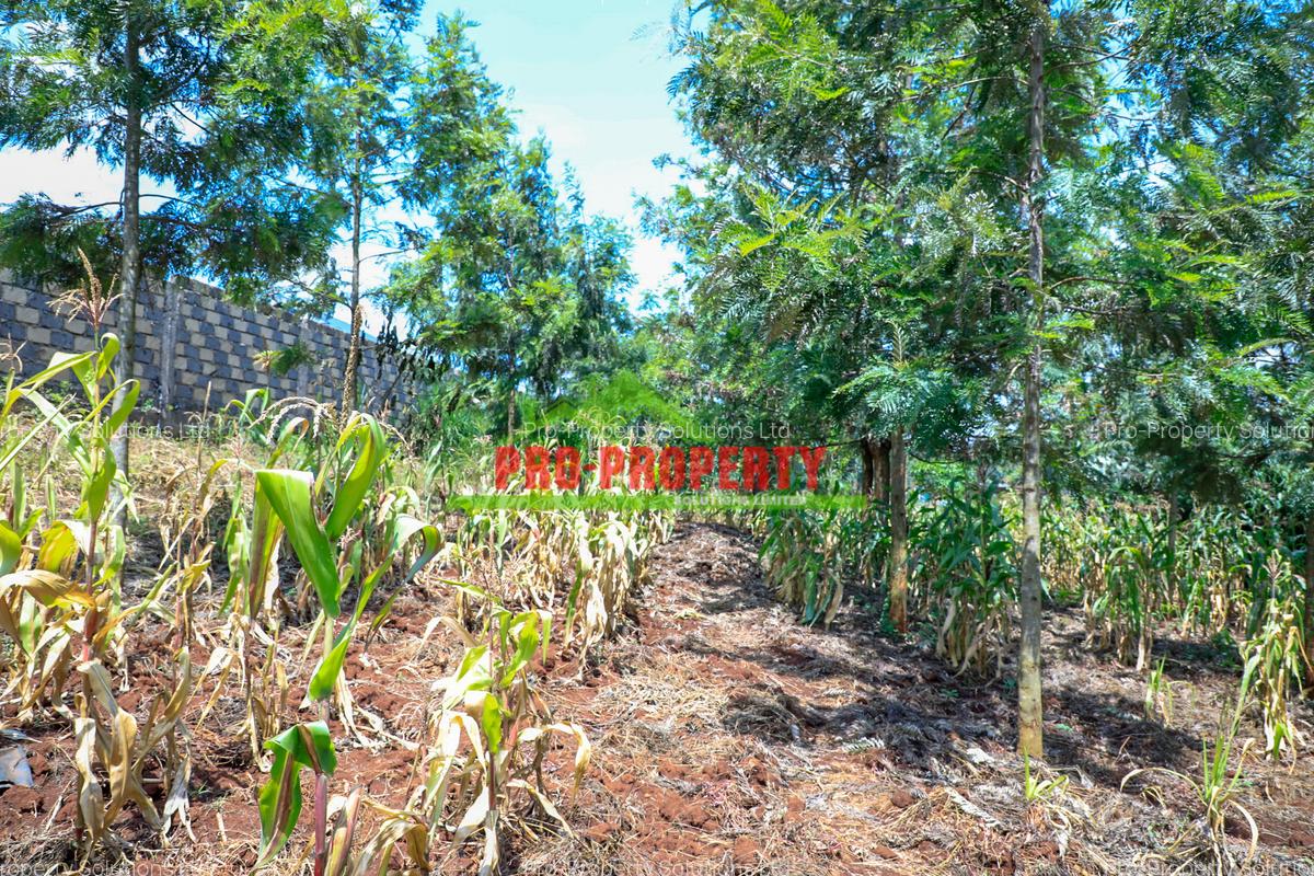 0.1 ha Residential Land at Thamanda - 7