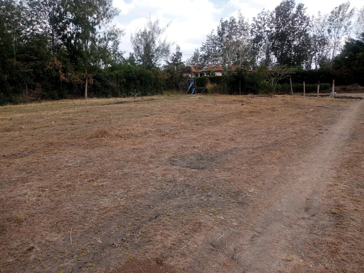 0.5 ac Land at Bogani - 1