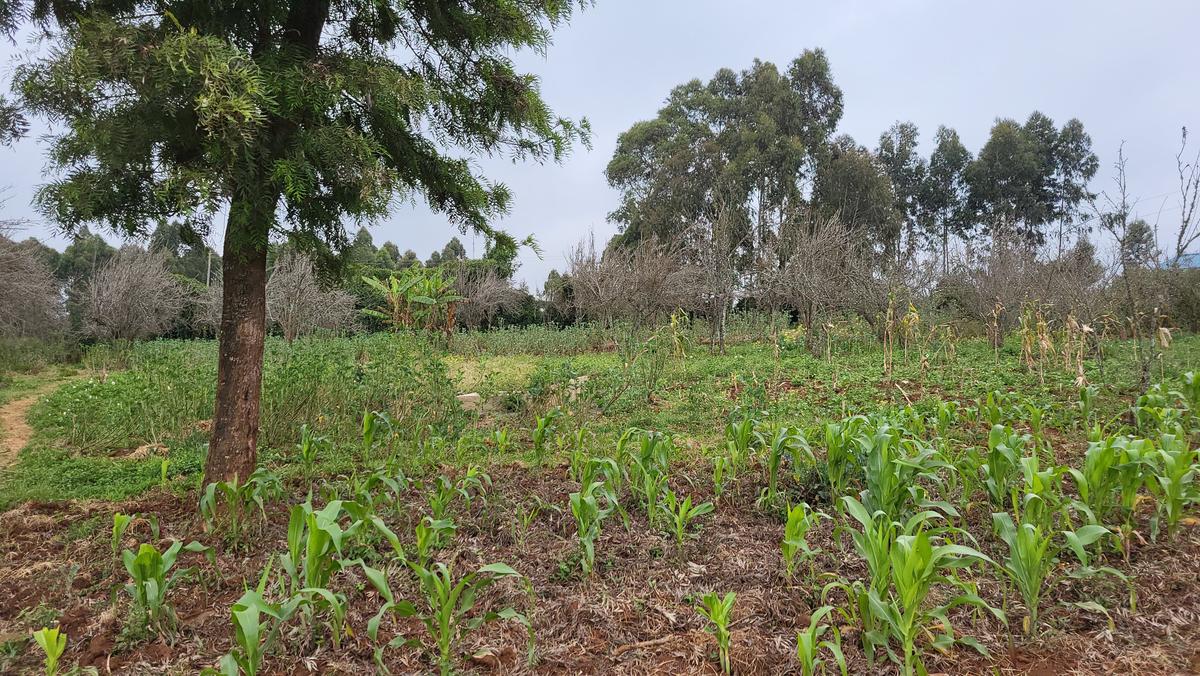 1.2 ac Land at Limuru - Kamandura