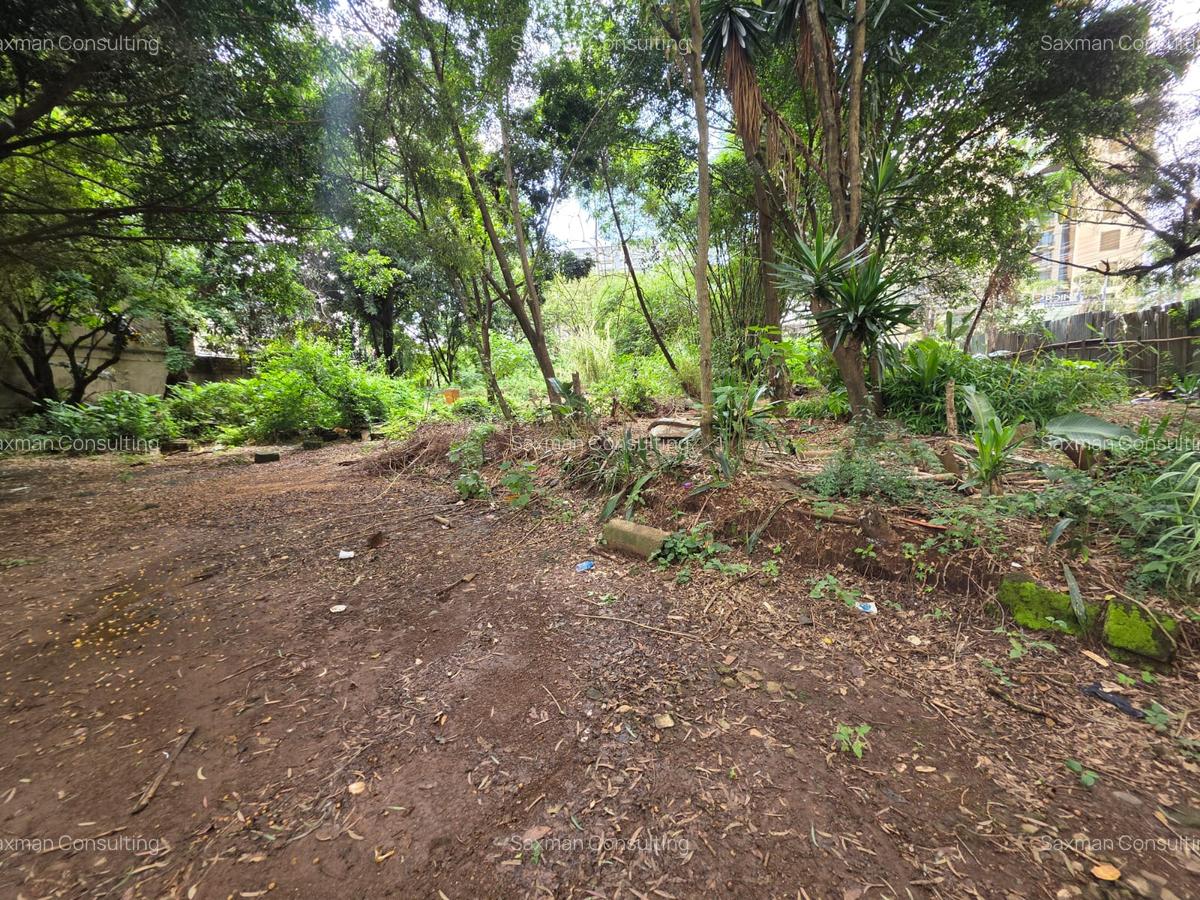 Land in Hurlingham - 1