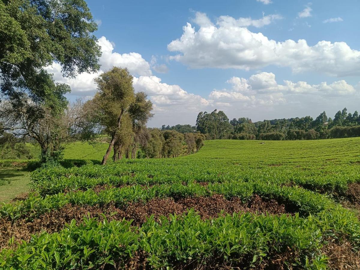 1,550 ac Land at Limuru - 1