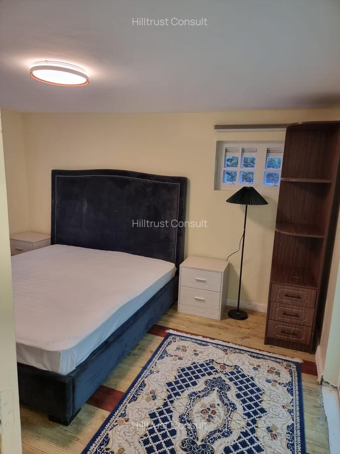 Furnished 1 Bed Apartment with En Suite at Off Peponi Rd - 7