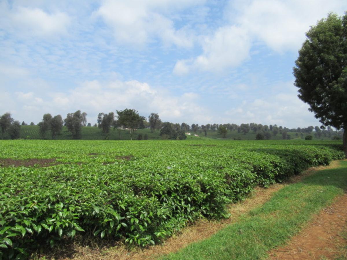 Land in Kiambu Town - 9