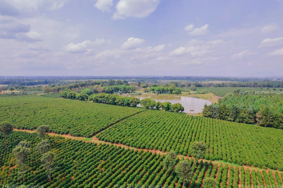 500 m² Land at Zuri Springs Estate - 13