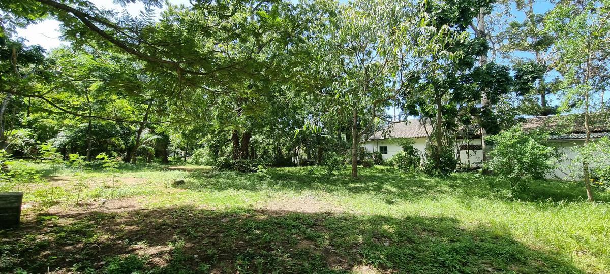 4.4 ac Land at Moorings - 13