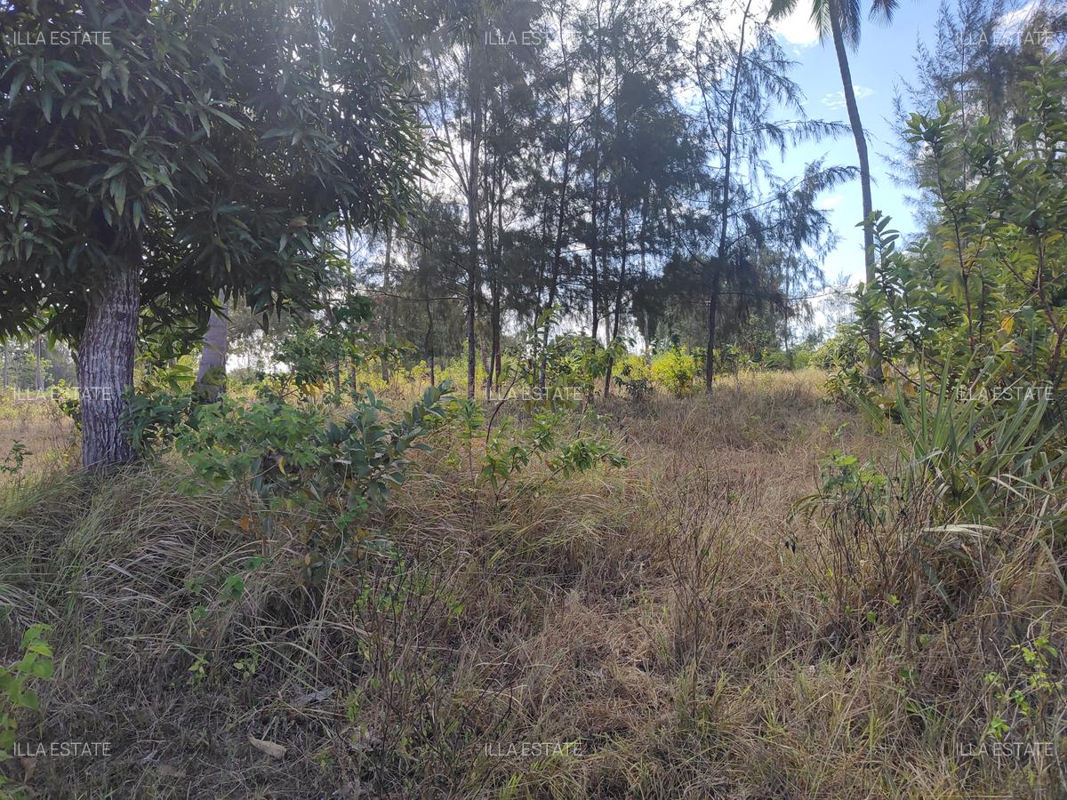 1,450 ac Land at Mabokoni - 9