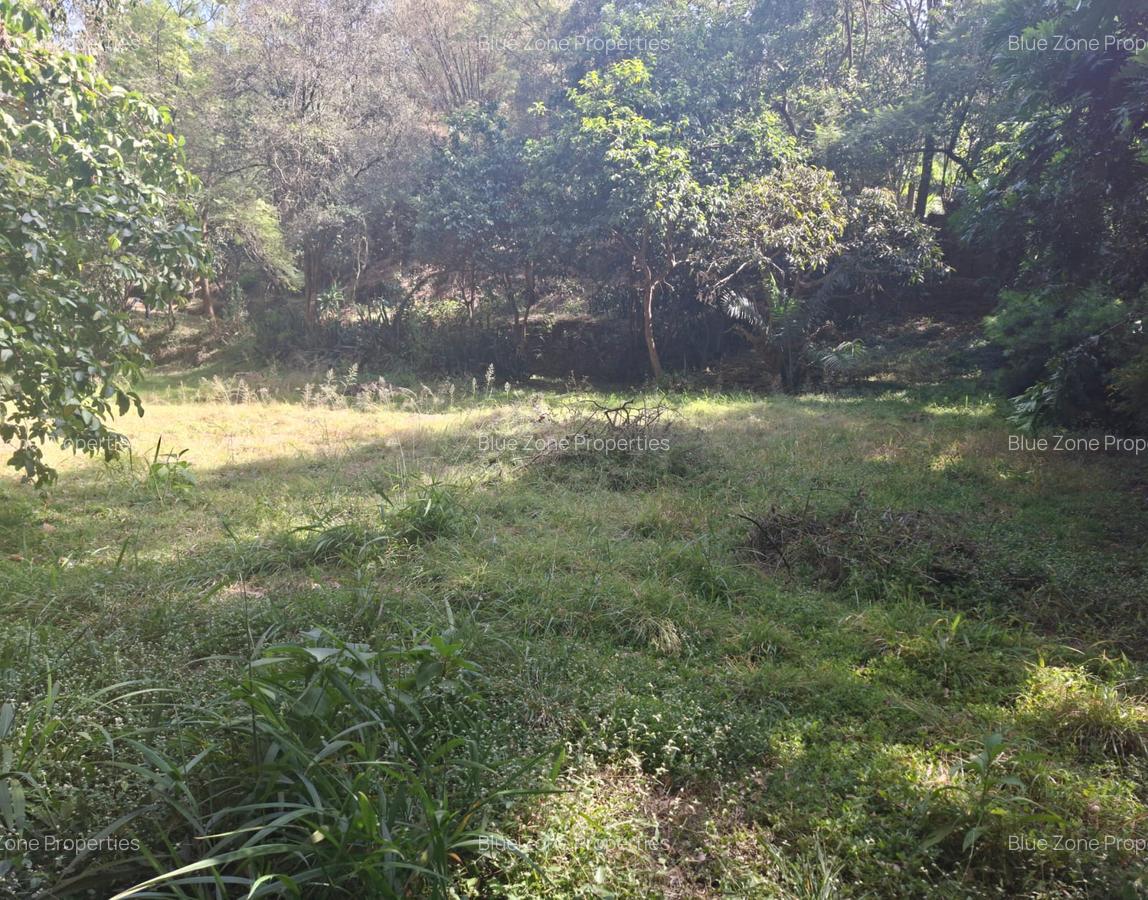 0.75 ac Residential Land at Off Naivasha Avenue - 5