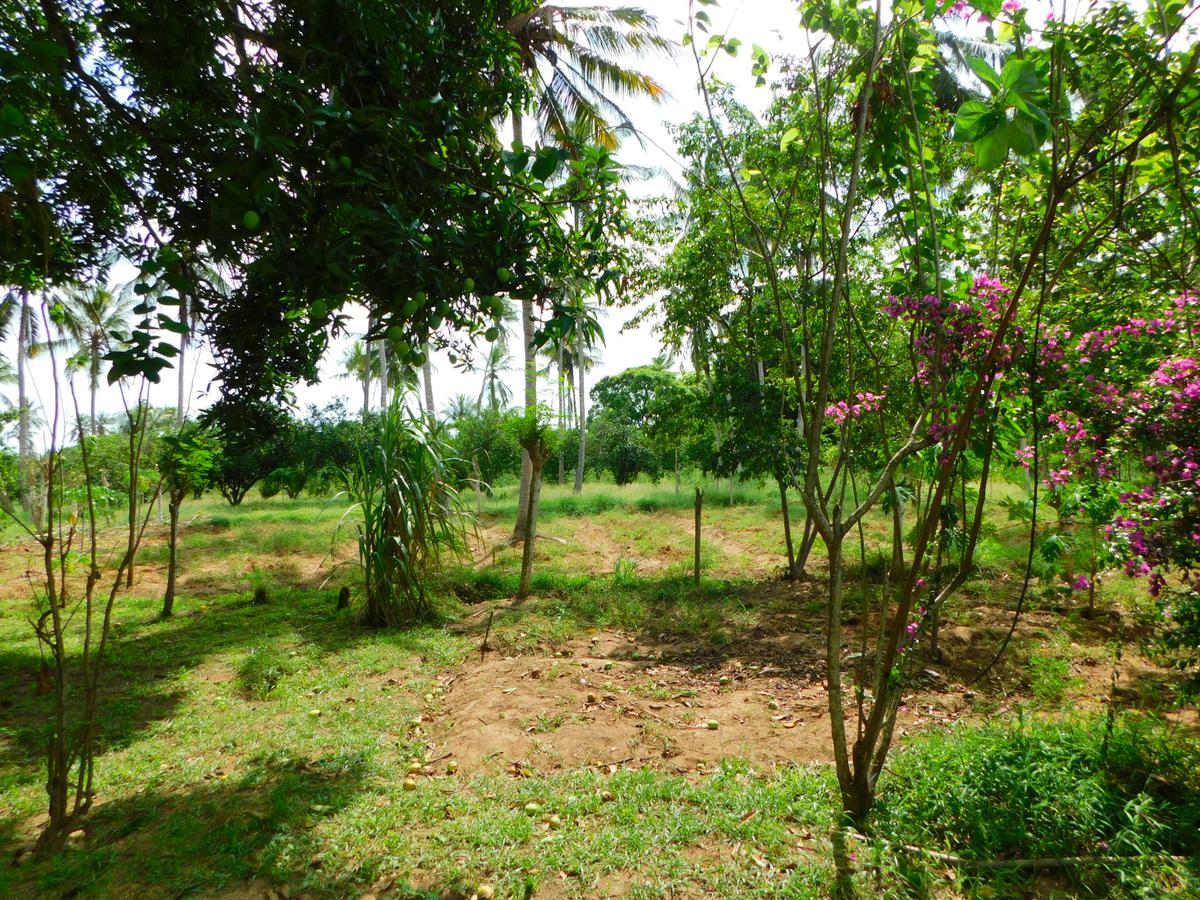 8 ac Land in Kikambala - 6