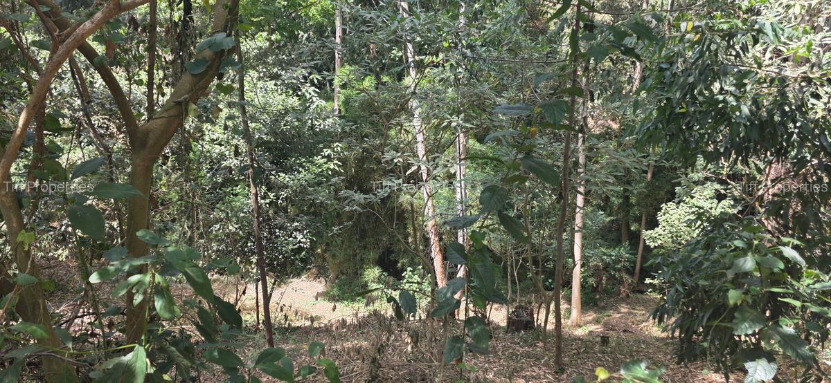 Land in Kitisuru - 5