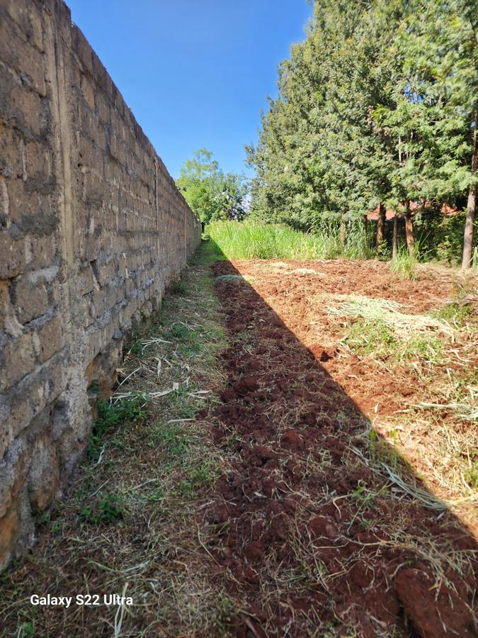 Residential Land at Thome. - 1