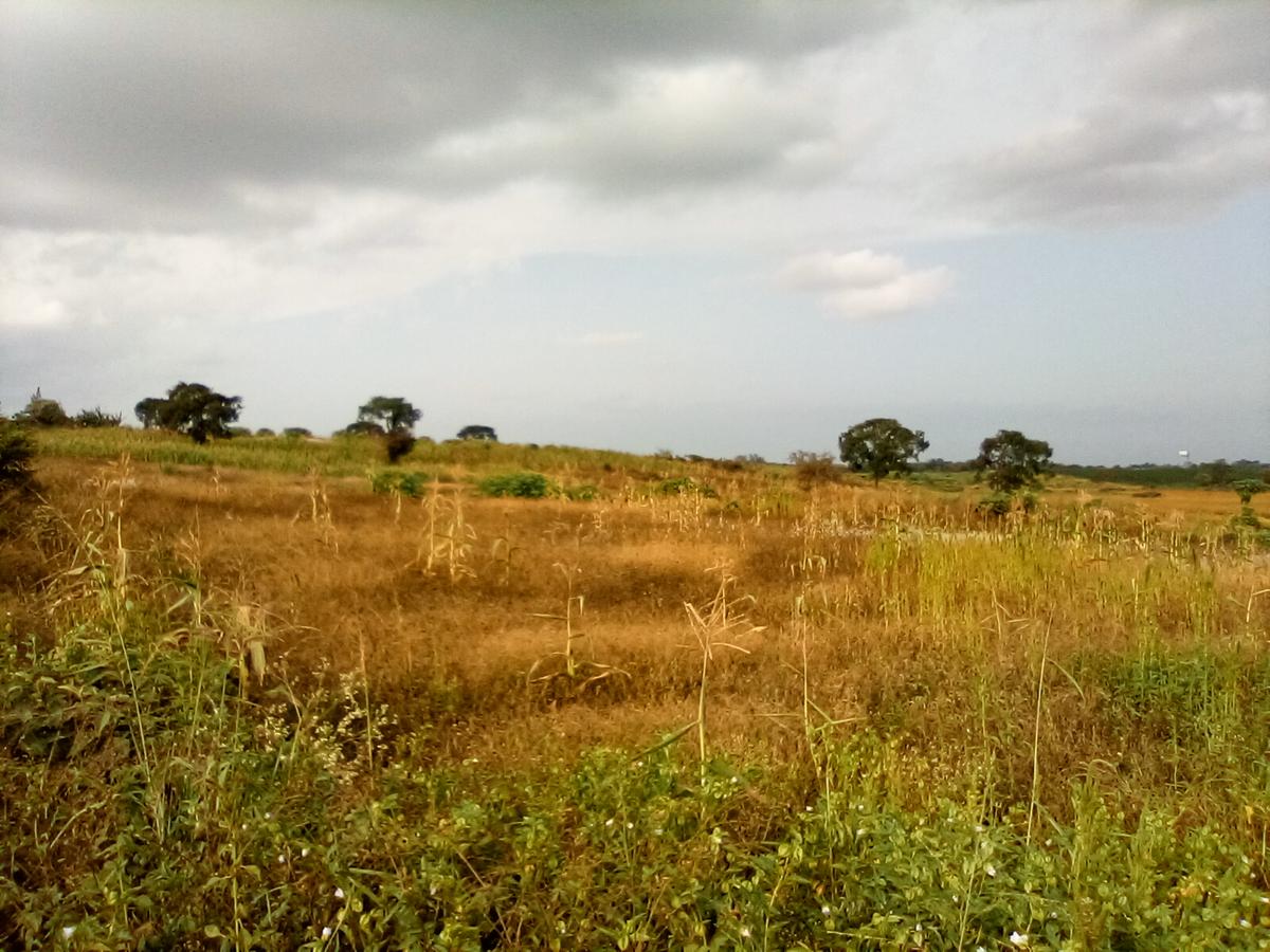 Land at Manira Trail - 4