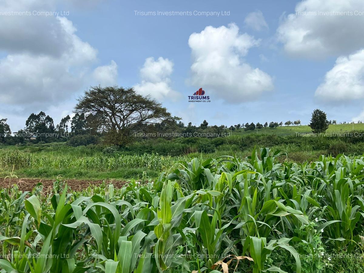 10 ac Land at Tigoni - 3