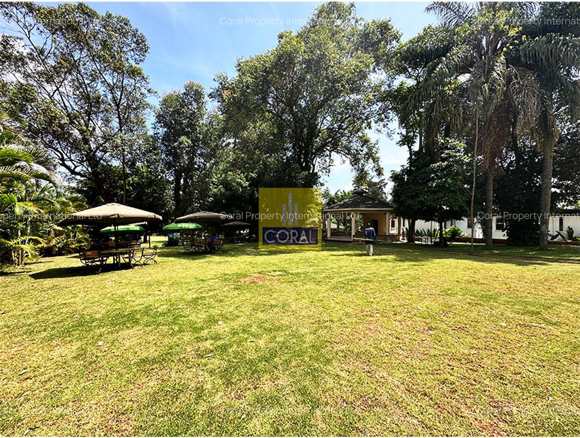 Office in Westlands Area - 19