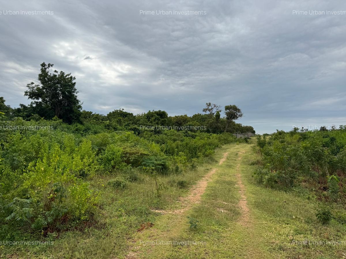10 ac Land in Vipingo - 5