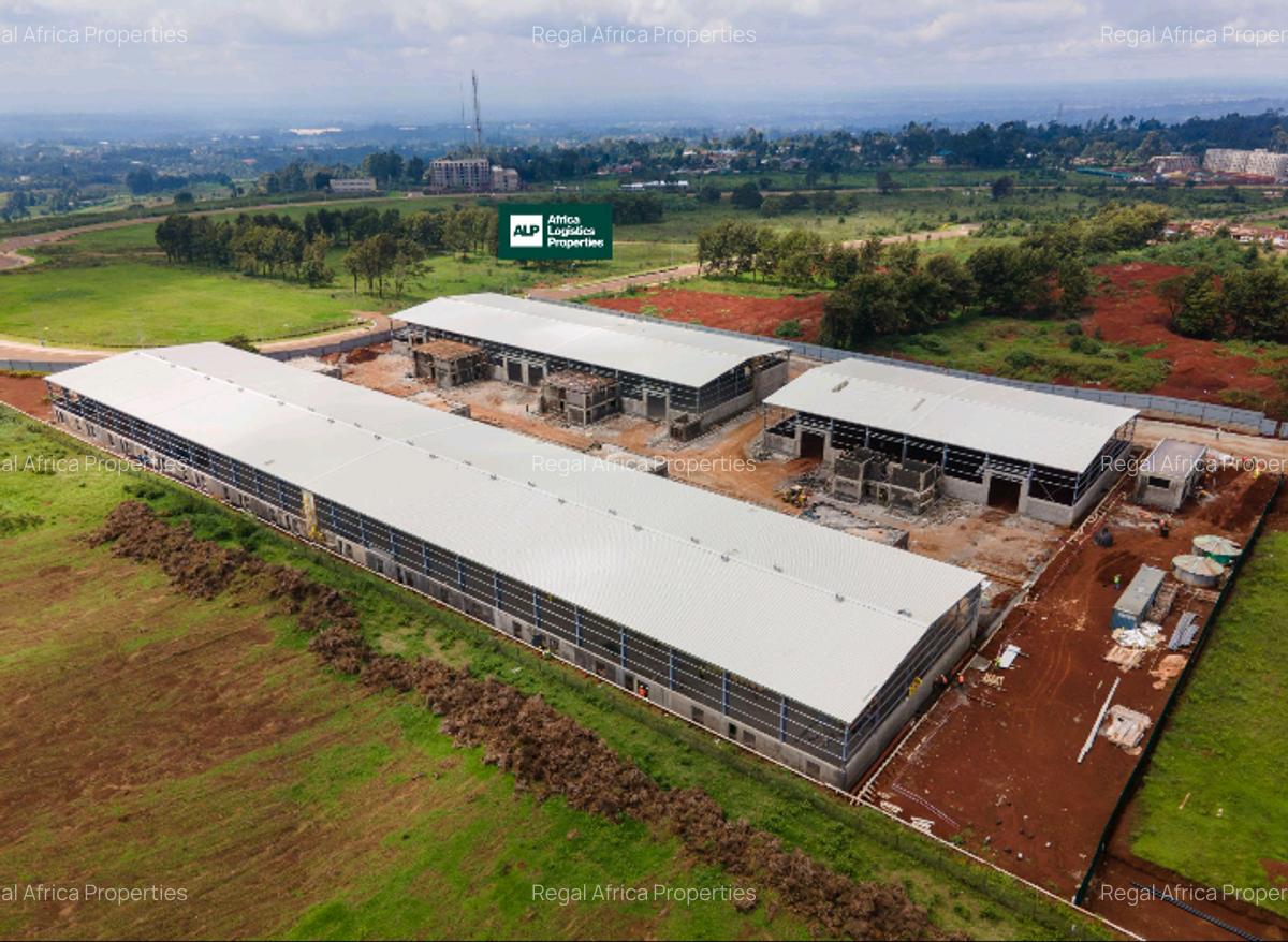 10,459 m² Warehouse with Backup Generator at Tilisi - 4