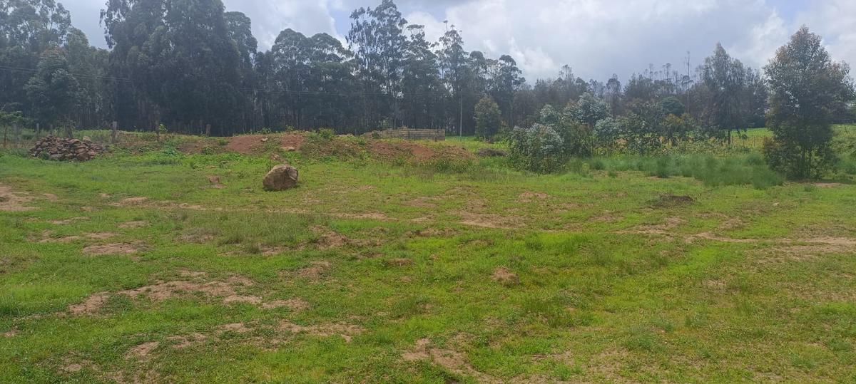 0.043 ha Residential Land at Kikuyu Kamangu - 7