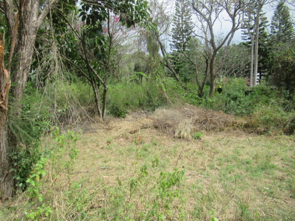 Residential Land at Masai West Rd - 7