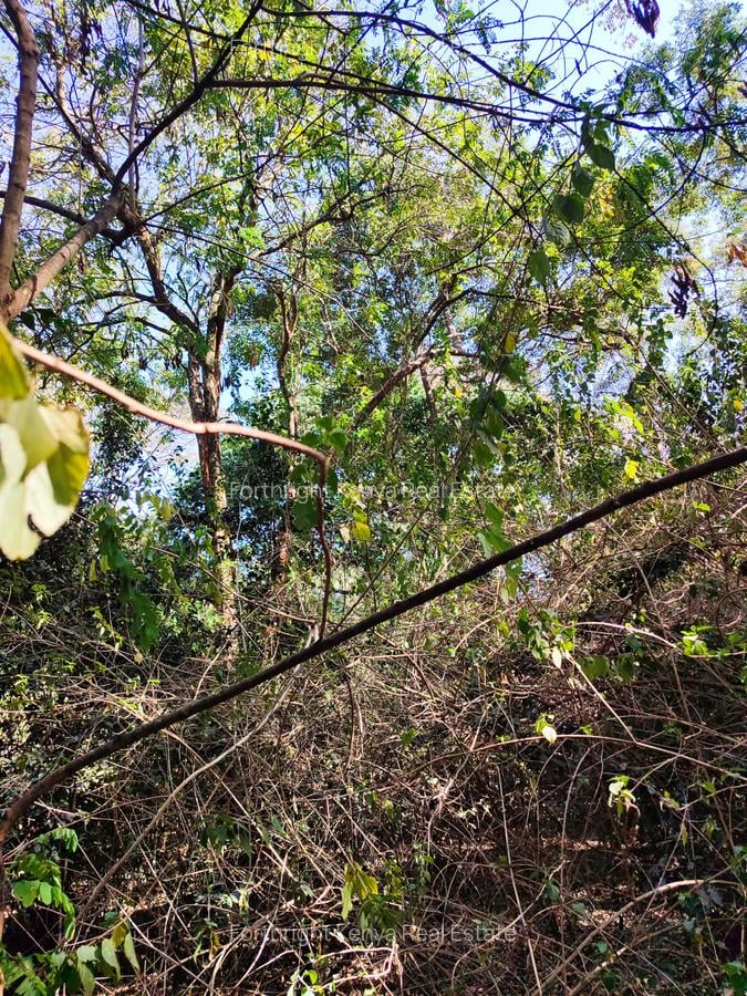 0.5 ac Land at Hardy - 12