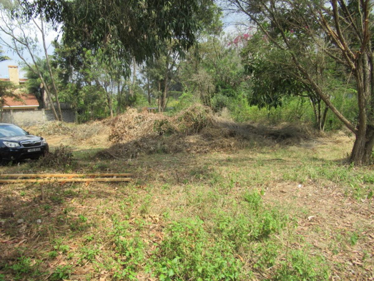 Residential Land at Masai West Rd - 4