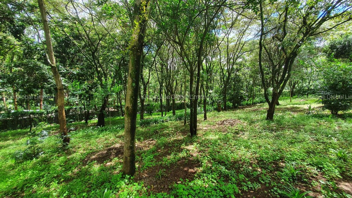 1 ac Land in Karen - 1