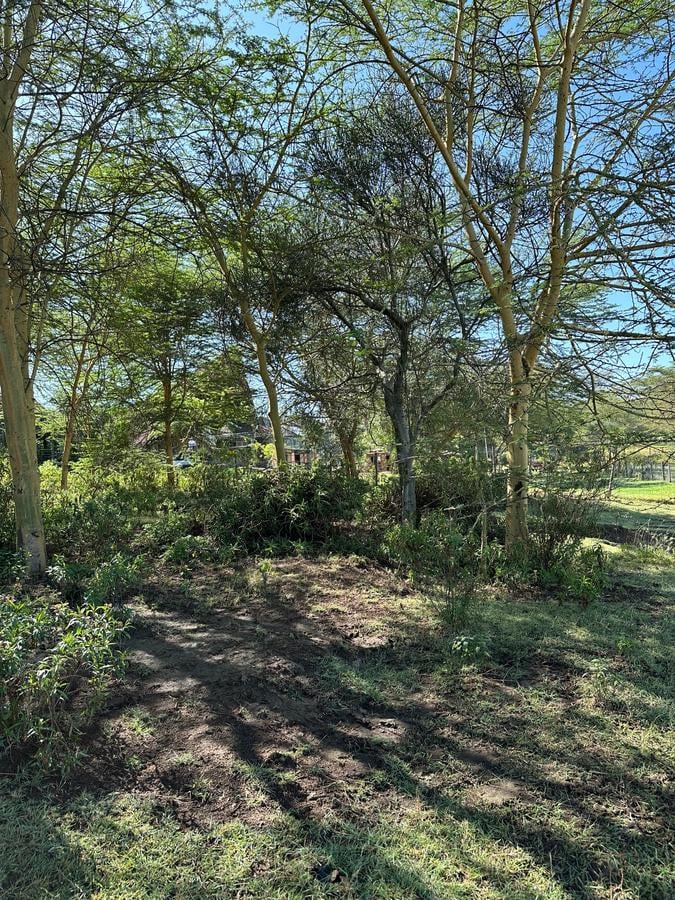 0.25 ac Residential Land at Lake Elementaita - 5