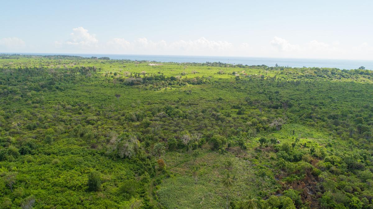 0.25 ac Residential Land at Diani Beach Road - 13