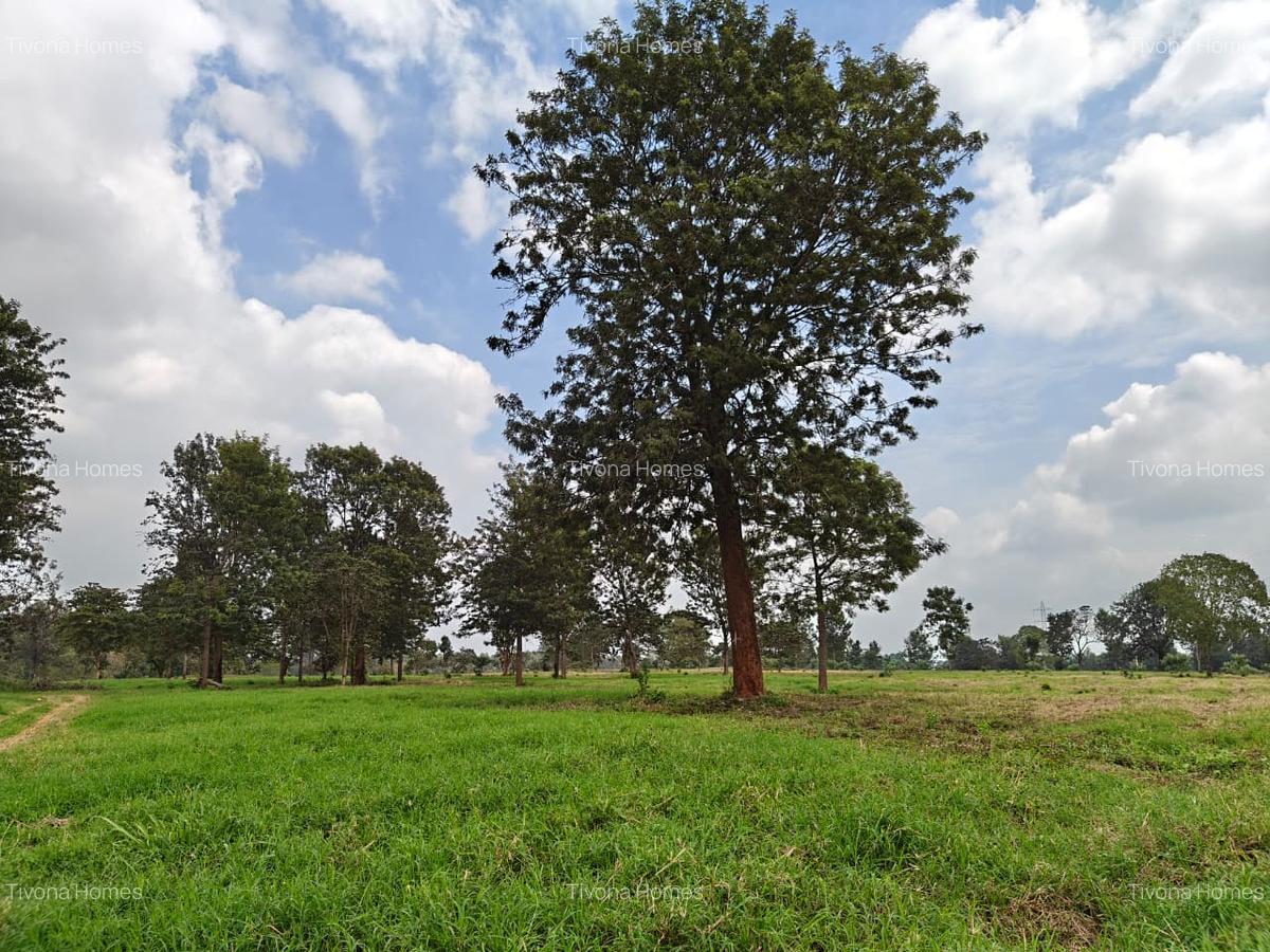 0.25 ac Commercial Land in Kiambu Road - 18