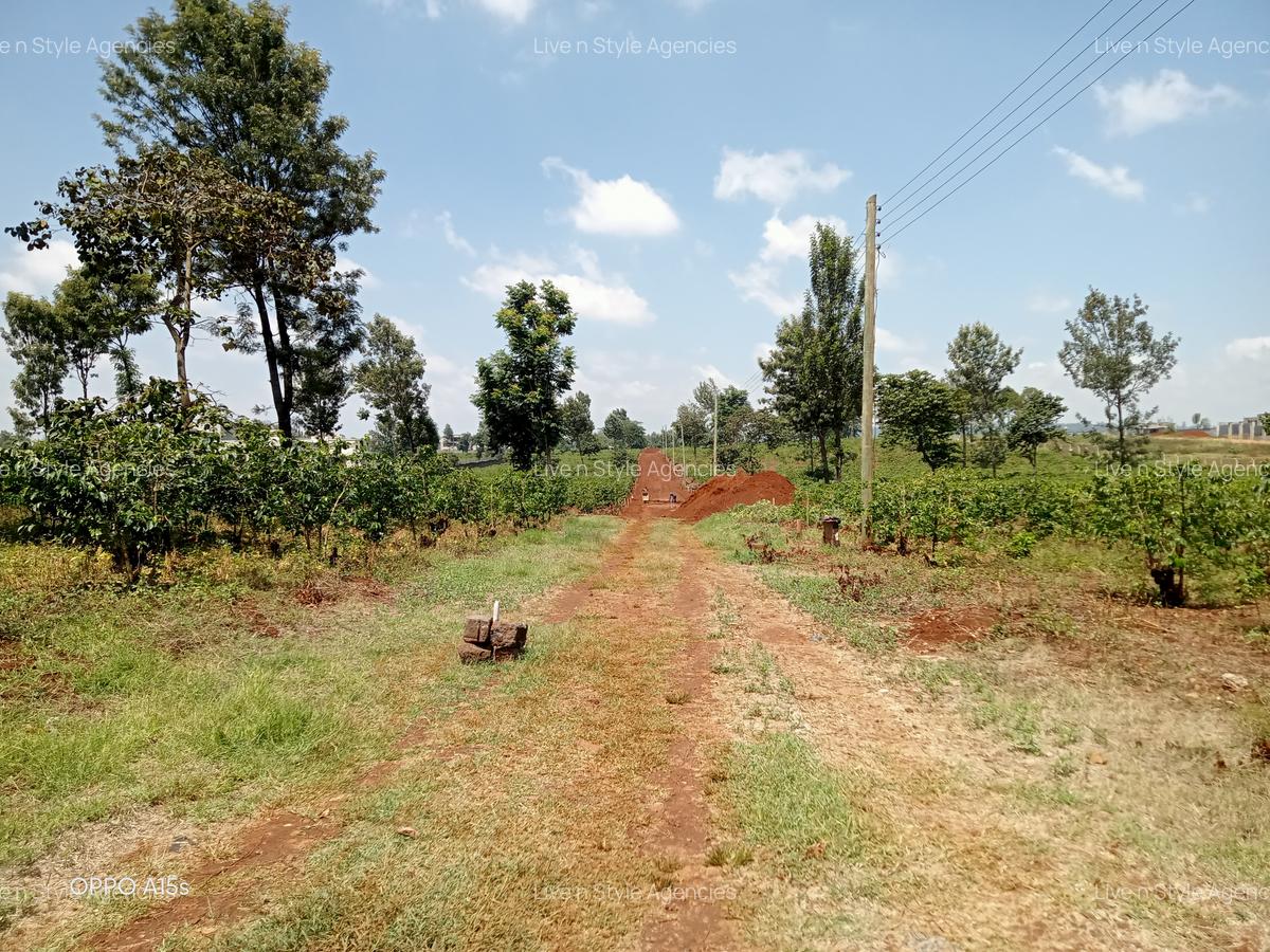 Residential Land in Runda - 12