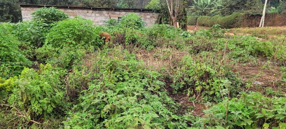 0.75 ac Land at Thindigua - 7