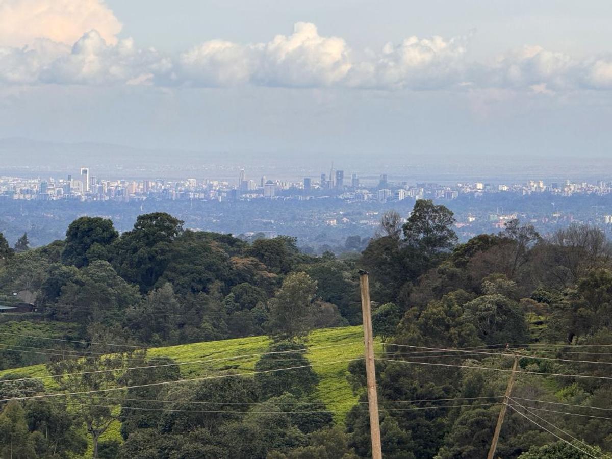 RIVERSPRINGS ESTATE TIGON in Tigoni, Kiambu County - 14