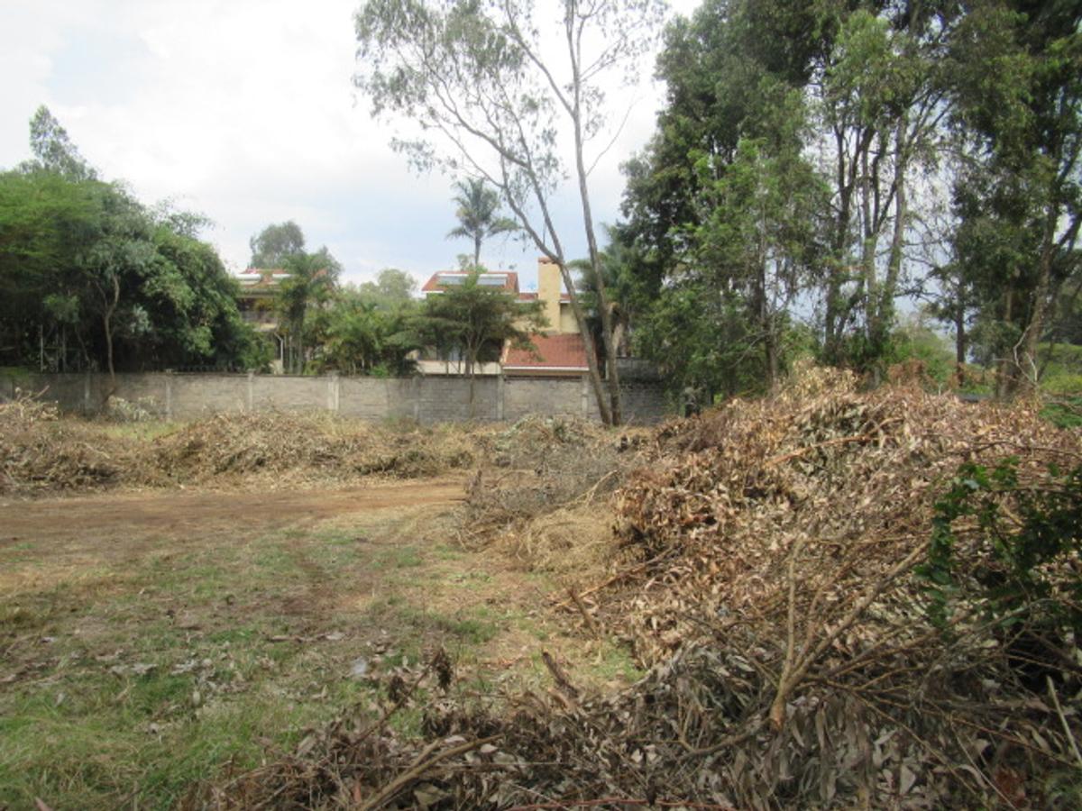 Residential Land at Masai West Rd - 3