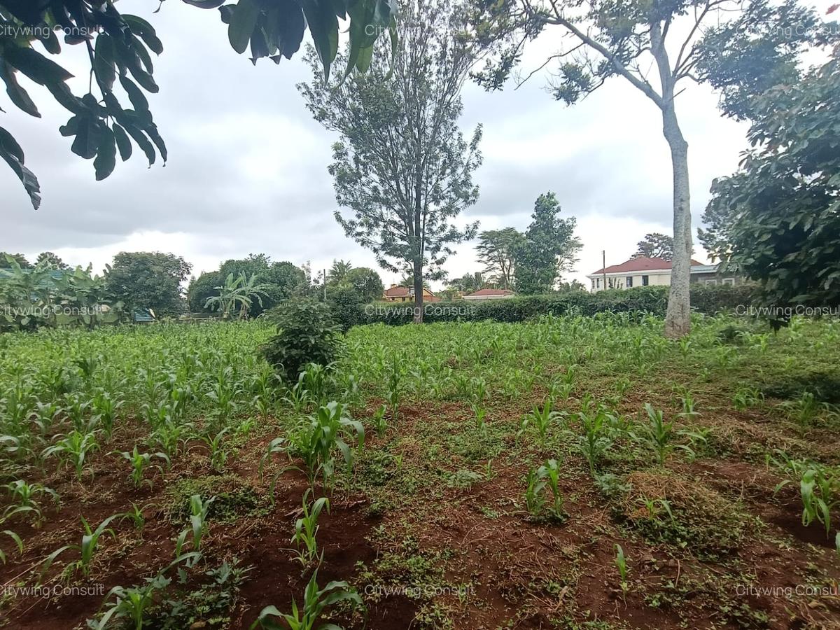 Land at Mimosa Road - 5