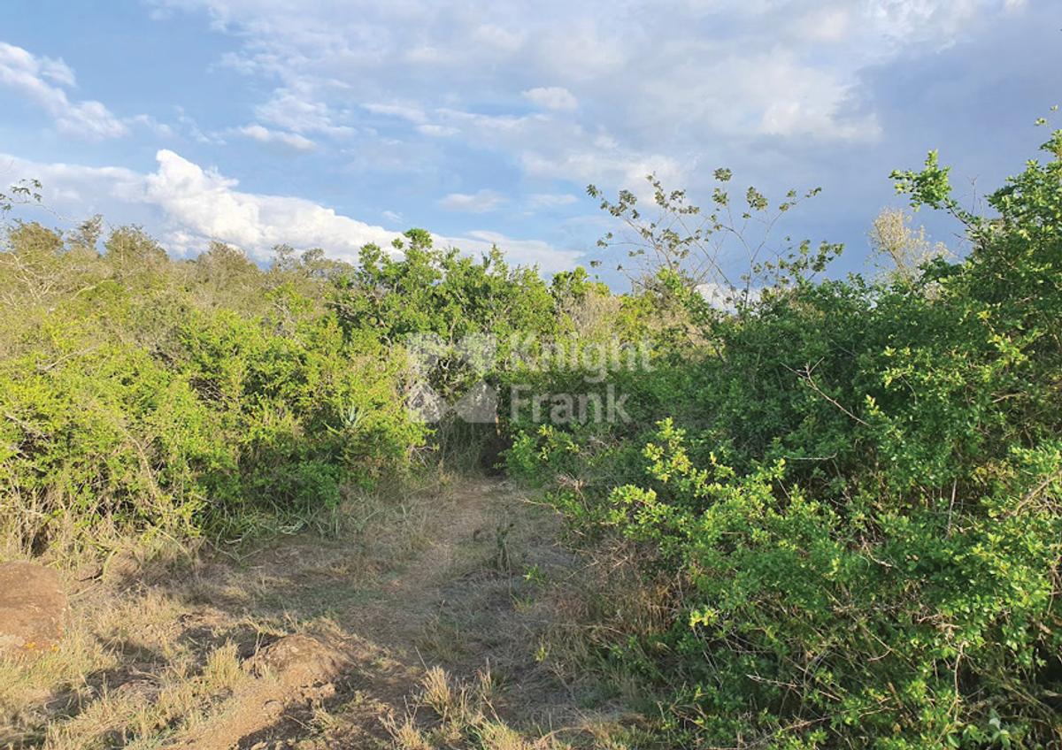 10 ac Land in Nanyuki - 9