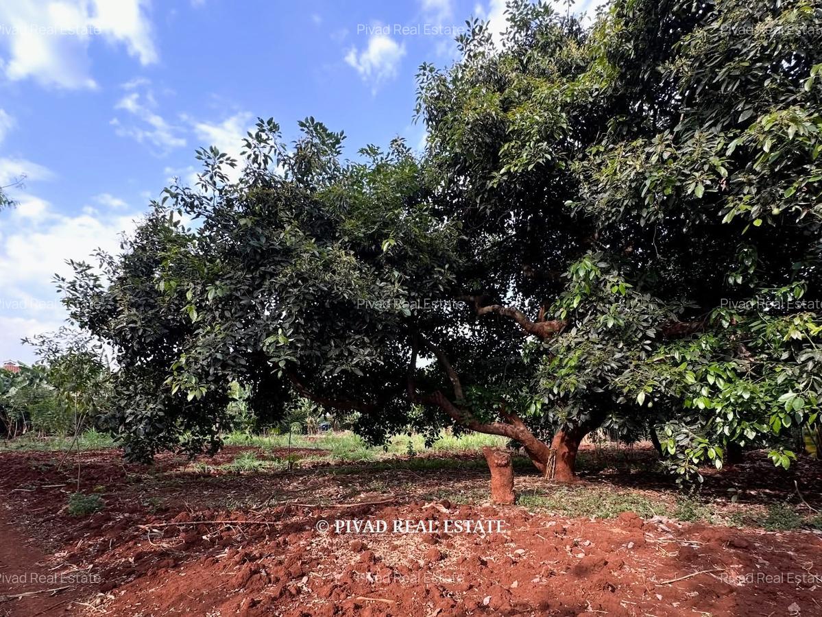 0.5 ac Residential Land in Muthaiga - 4
