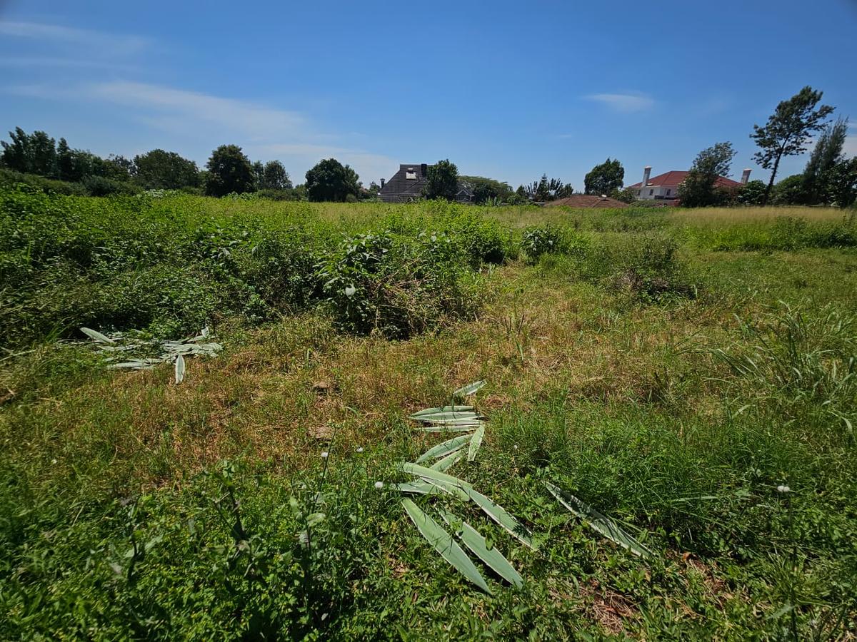42 ac land at kirigiti