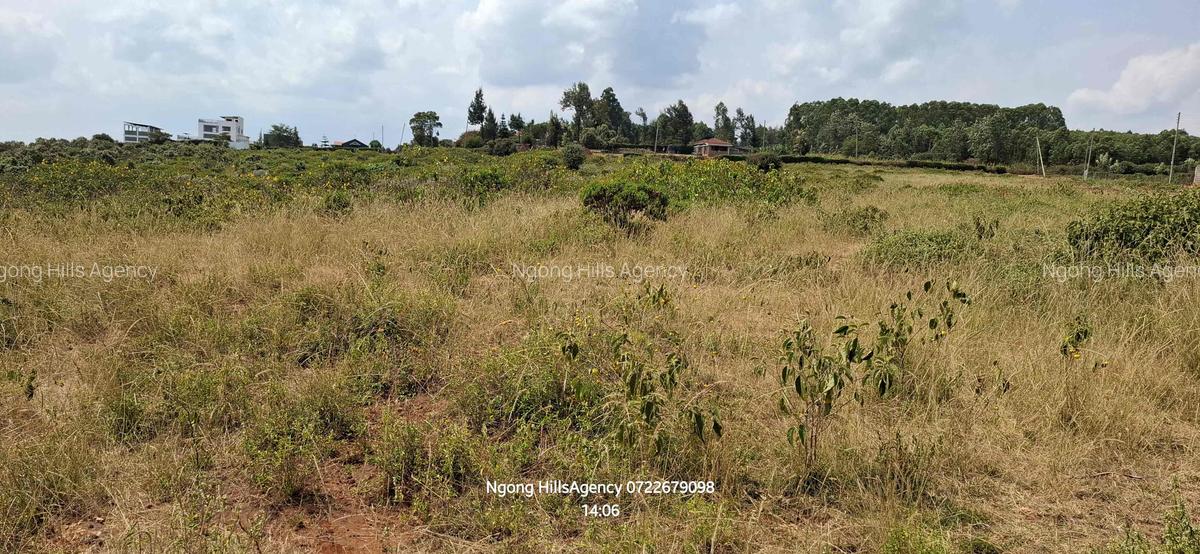 Land in Ngong - 4